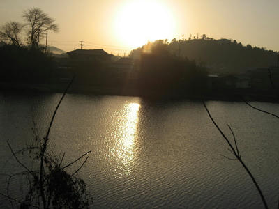 IMG_1877_1.jpg