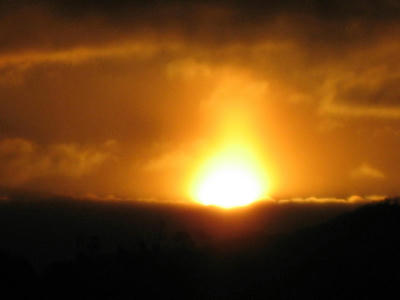 IMG_1962_1.jpg