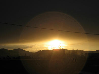 IMG_1985_1.jpg