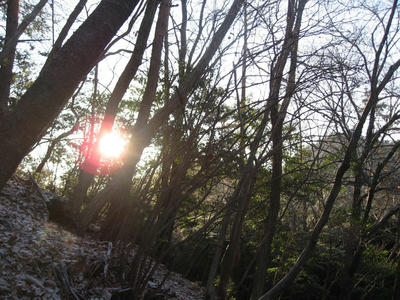 IMG_2094_1.jpg