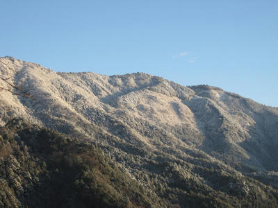 IMG_2088_1.jpg