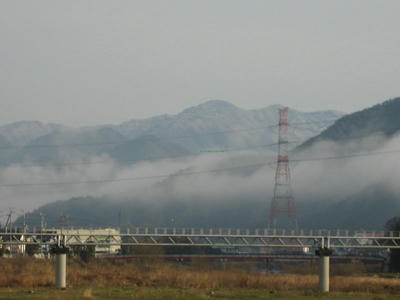 IMG_2176_1.jpg