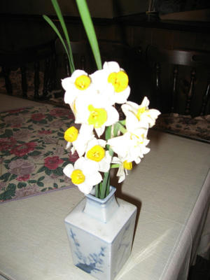IMG_2255_1.jpg
