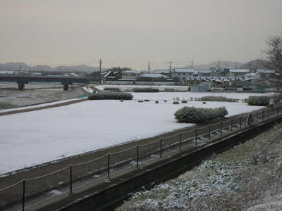 IMG_2601_1.jpg