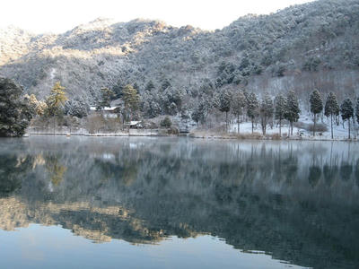 IMG_2612_1.jpg