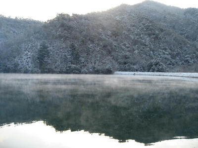 IMG_2614_1.jpg