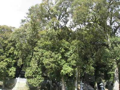 IMG_2672_1.jpg