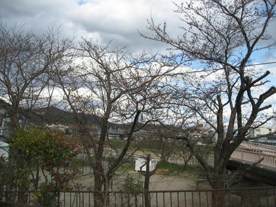 IMG_2700_1.jpg