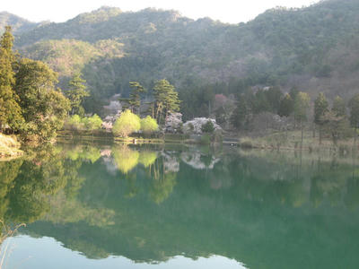 IMG_2724_1.jpg