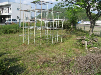 IMG_2866_1.jpg