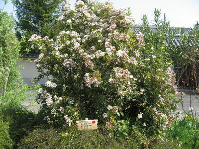 IMG_2829_1.jpg
