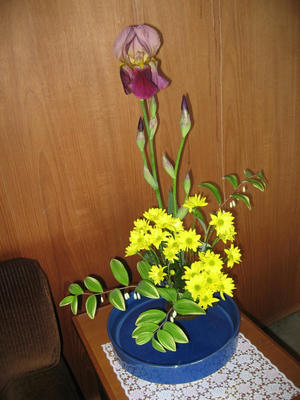 IMG_2870_1.jpg
