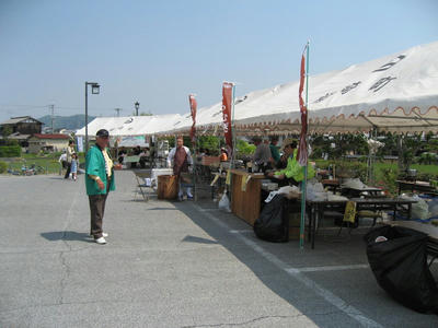 IMG_2895_1.jpg