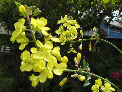 IMG_2872_1.jpg