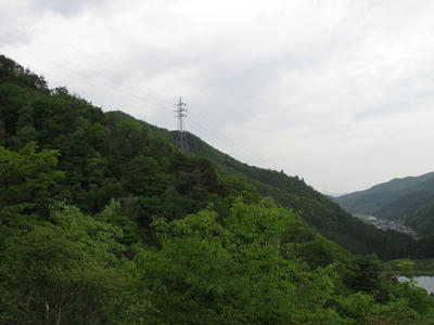 IMG_2921_1.jpg