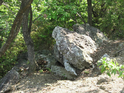 IMG_2950_1.jpg