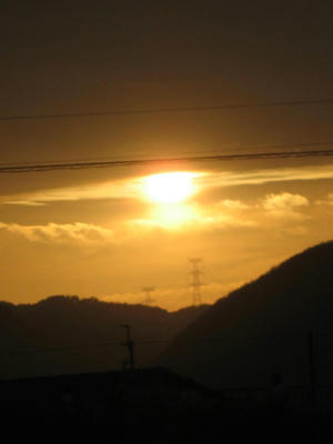 IMG_3236_1.jpg