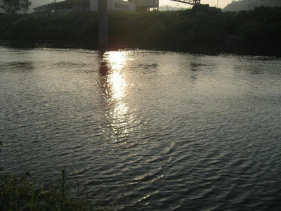 IMG_3245_1.jpg
