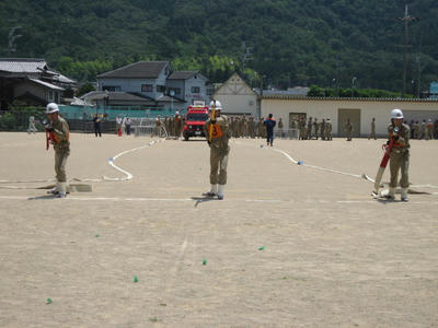 IMG_3339_1.jpg