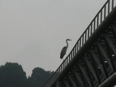 IMG_3502_1.jpg