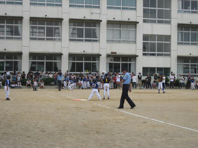 IMG_3523_1.jpg