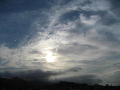 IMG_3547_1.jpg