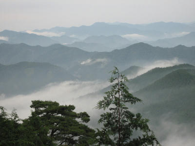 IMG_3564_1.jpg