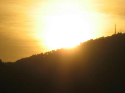 IMG_3613_1.jpg