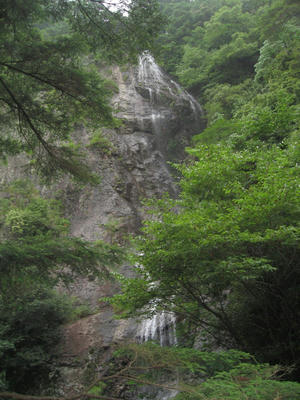 IMG_3665_1.jpg