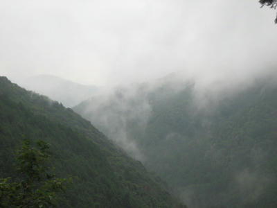 IMG_3666_1.jpg