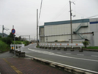 IMG_3696_1.jpg