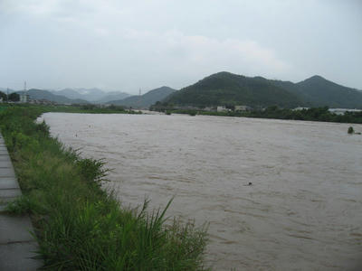 IMG_3724_1.jpg