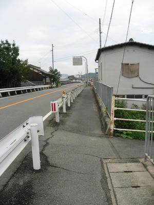 IMG_3763_1.jpg