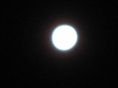 IMG_3766_1.jpg