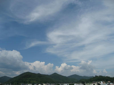 IMG_3771_1.jpg