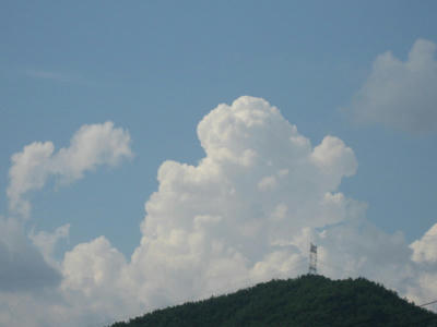 IMG_3773_1.jpg