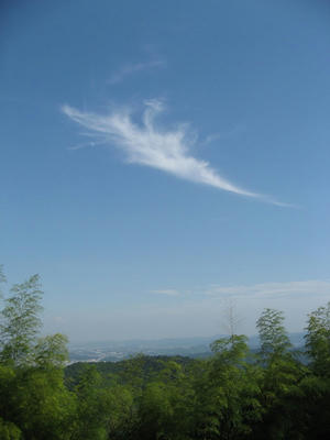 IMG_3777_1.jpg