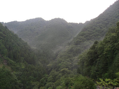 IMG_3571_1.jpg