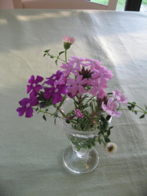 IMG_3864_1.jpg