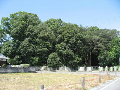 IMG_3915_1.jpg