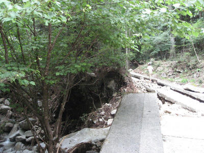 IMG_3878_1.jpg