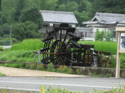 IMG_3701_1.jpg