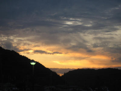 IMG_4090_1.jpg