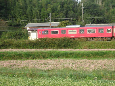 IMG_4261_1.jpg