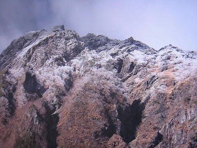 IMG_4313_1.jpg