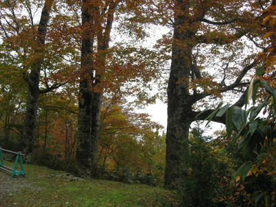 IMG_4401_1.jpg