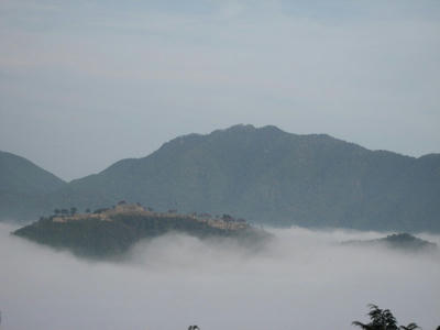 IMG_4450_1.jpg