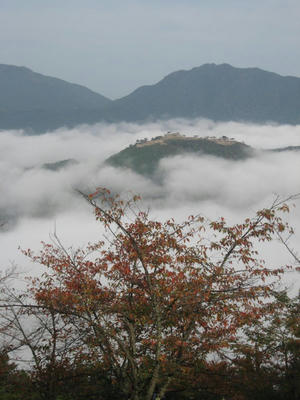 IMG_4465_1.jpg