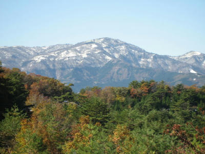 IMG_4534_1.jpg