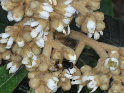 IMG_4570_1.jpg